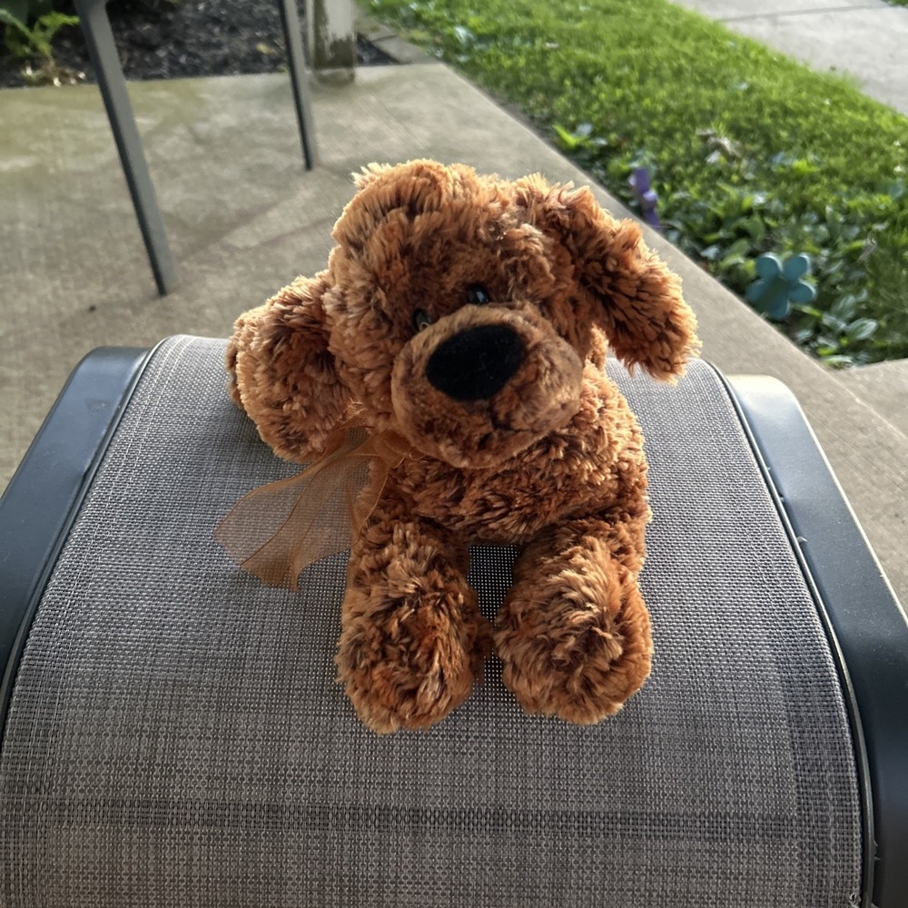 Gund Brody Cooper Brown Puppy Dog Plush Animal #13903  12" Furry Soft